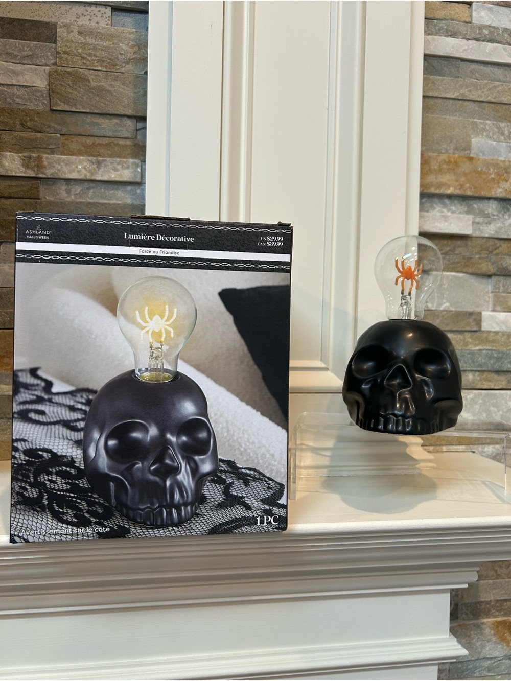 Ashland Black Skull Accent Light-Up Decoration with Spider Bulb
